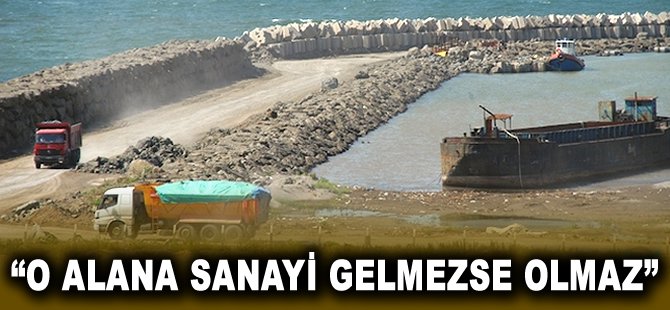 "O alana sanayi gelmezse olmaz"