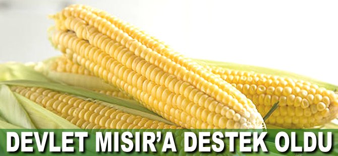 Devlet Mısır'a destek oldu