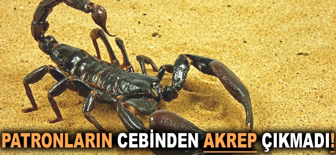 Patronların cebinden akrep çıkmadı