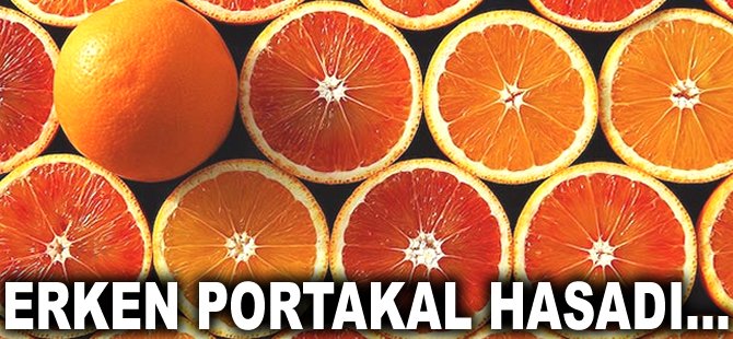 Erken Portakal hasadı...