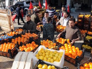 Tonlarca narenciye geri dönüyor