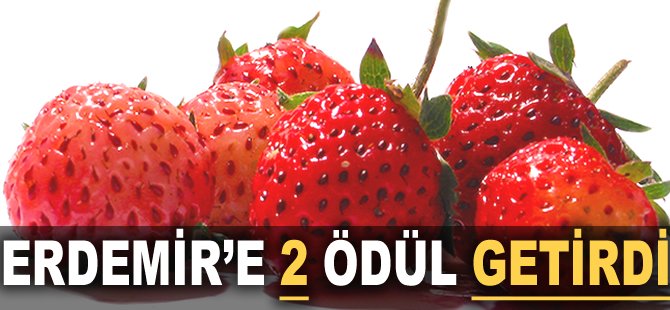Erdemir'e 2 ödül getirdi