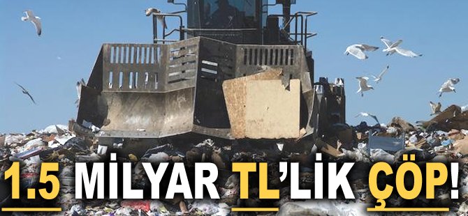1.5 milyar TL'lik çöp!