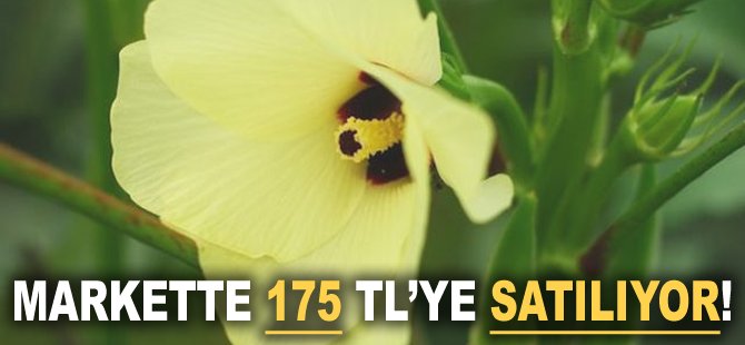 Markette 175 TL'ye satılıyor!