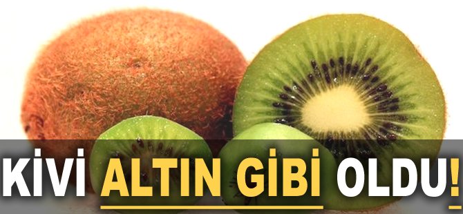 Kivi Altın gibi oldu!