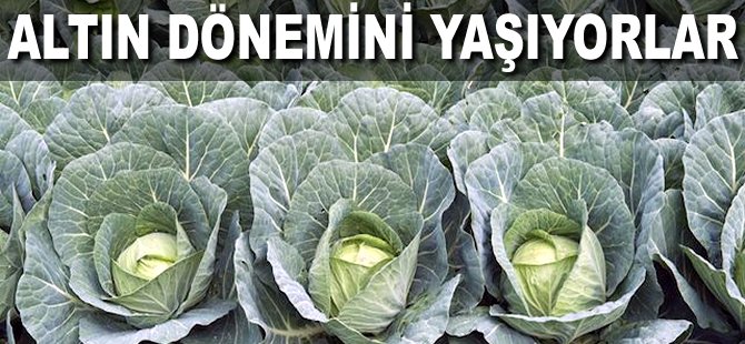 Altın dönemini yaşıyorlar