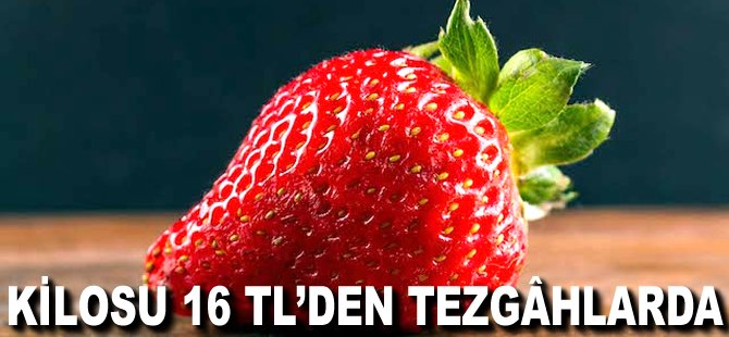 Kilosu 16 TL'den tezgâhlarda