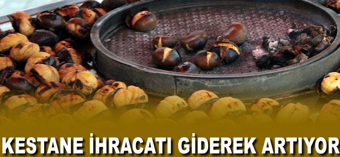 Kestane ihracatı giderek artıyor