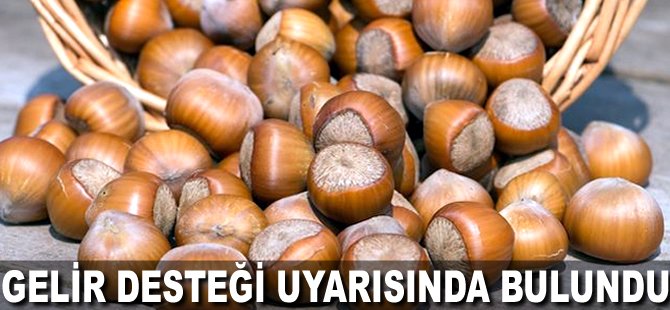 Gelir desteği uyarısında bulundu