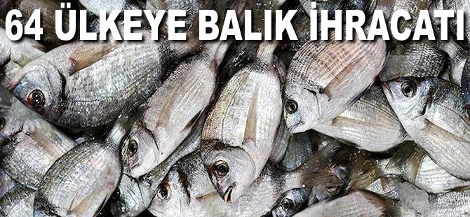 64 Ülkeye Balık ihracatı
