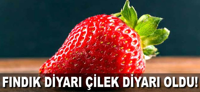 Fındık diyarı Çilek diyarı oldu!