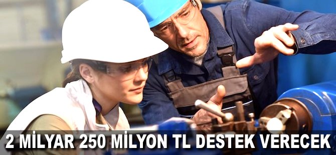 2 milyar 250 milyon TL destek verecek