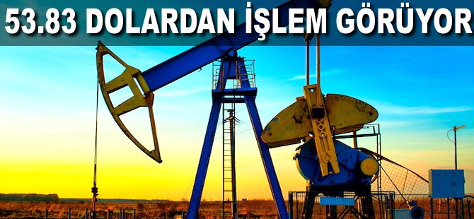 53,83 Dolardan işlem görüyor