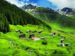 Doğu Karadeniz "İhracat Merkezi" oldu!