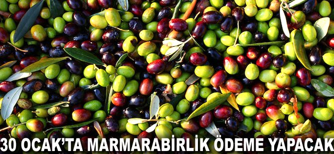 30 Ocak'ta Marmarabirlik ödeme yapacak