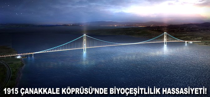 1915 Çanakkale Köprüsü'nde biyoçeşitlilik hassasiyeti!
