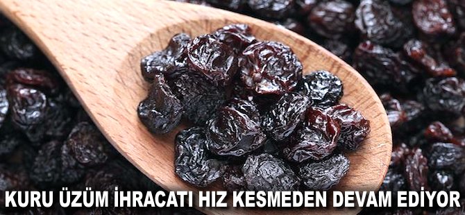 Kuru üzüm ihracatı hız kesmeden devam ediyor