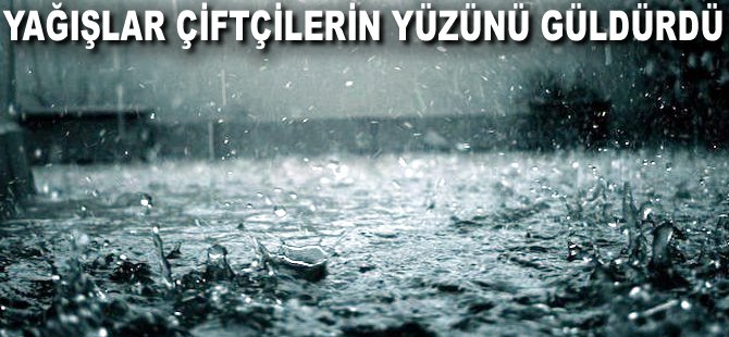 Yağışlar Çiftçilerin yüzünü güldürdü