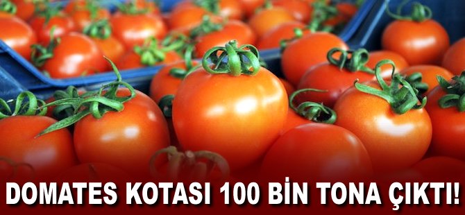 Domates kotası 100 bin tona çıktı!