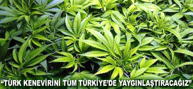 "Türk Kenevirini tüm Türkiye'de yaygınlaştıracağız"