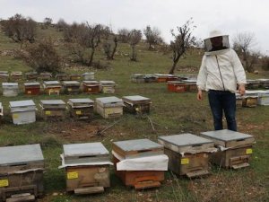 Siirtli gençlere Devlet babalık yaptı!