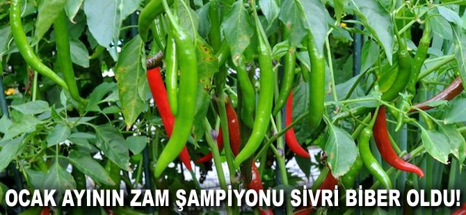 Ocak ayının zam şampiyonu Sivri Biber oldu!