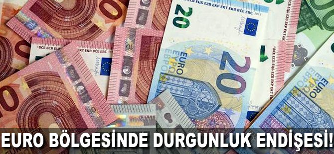 Euro Bölgesi'nde durgunluk endişesi!