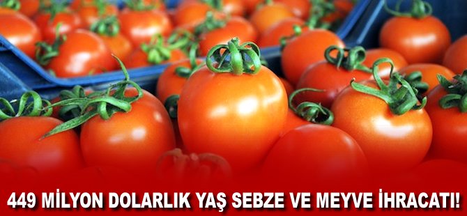 449 milyon Dolarlık yaş sebze ve meyve ihracatı!