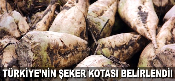 Türkiye geneli Şeker kotası belirlendi!