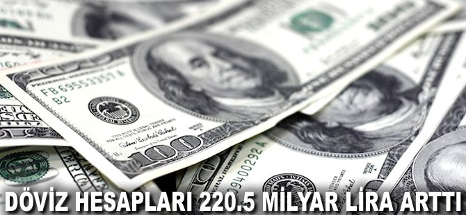 Döviz hesapları 220.5 milyar lira arttı