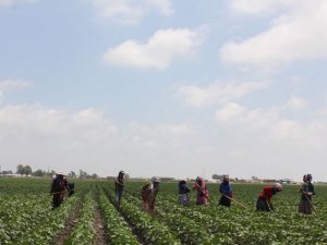 "Bütün felaketleri kapsayacak şekilde ödeme yapılacak"