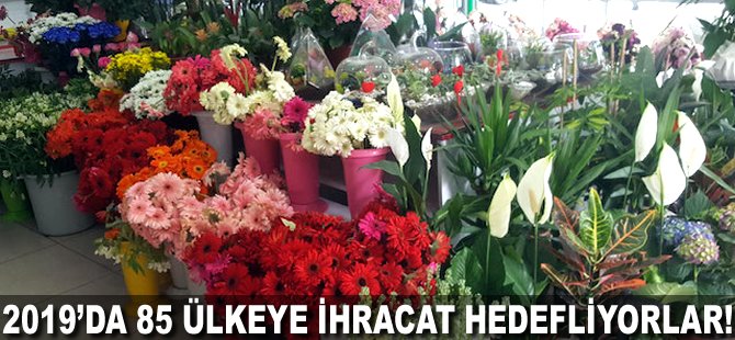 2019'da 85 ülkeye ihracat hedefliyorlar!