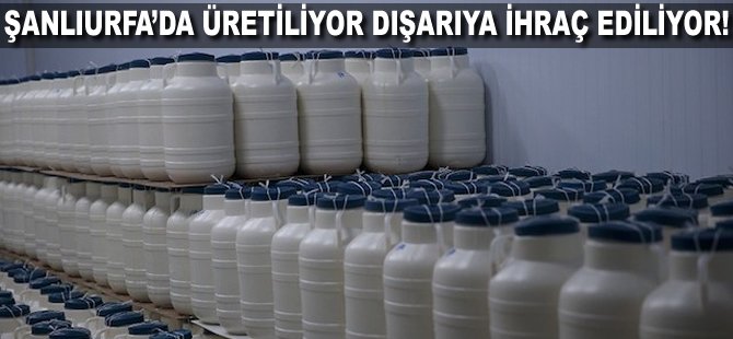 Şanlıurfa'da üretiliyor dışarıya ihraç ediliyor!
