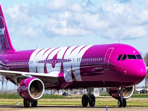 Wow Air uçuşları durdurdu