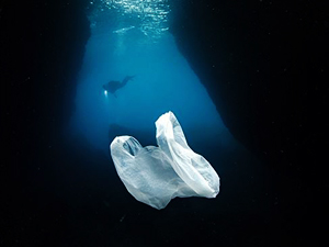 Denizlerde plastikle mücadeleye 400 bin imza