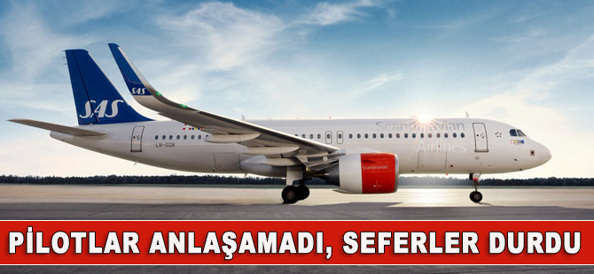 İskandinav Hava Yolları'nda seferler durdu