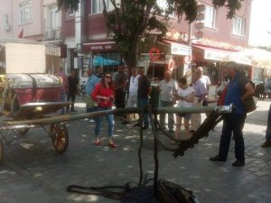 Adalar Ulaşım Çalıştayı düzenlenecek