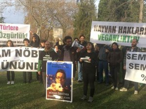 Hayvanseverlerin fayton protestosu Saraçhane Parkı'nda sürüyor