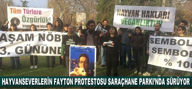 Hayvanseverlerin fayton protestosu Saraçhane Parkı'nda sürüyor