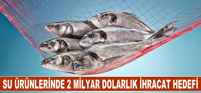 Su ürünlerinde 2 milyar dolarlık ihracat hedefi