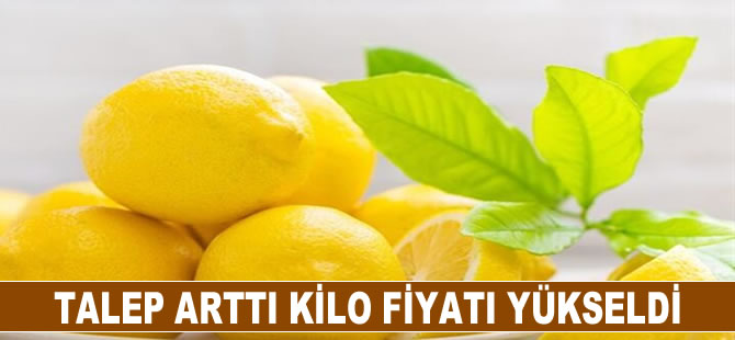 Talep arttı kilo fiyatı yükseldi