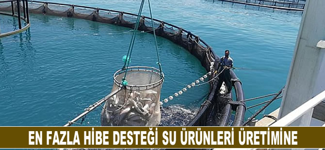 En fazla hibe desteği su ürünleri üretimine