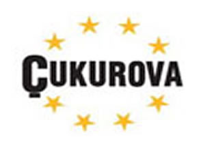 Çukurova Holding'i rahatlatan karar