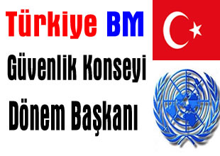 Türkiye, BM Güvenlik Konseyi Başkanı