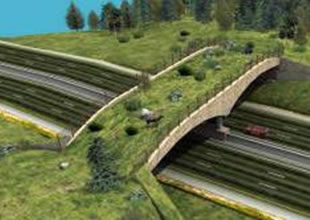 Karayollarına 'ekolojik köprü'ler kurulacak