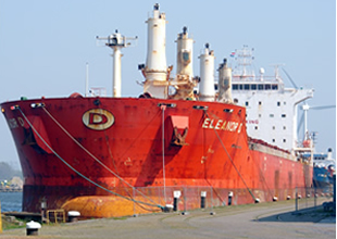 M/V ELEANOR D, Liverpool'da tutuklandı