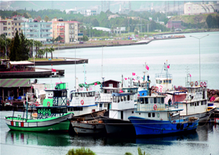 Türkiye'de balıkçı filosu kapasitesi fazla