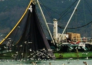 Trabzon'da balık avı sezonu açıldı