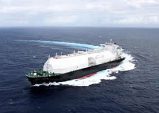Trans Pacific Shipping gemisini adlandırdı