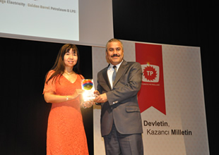 Yingli Solar’a 'Altın Voltaj' ödülü verildi